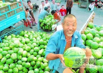2019年河南扶沟8424西瓜价格