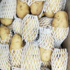 山东高密土豆价格适宜