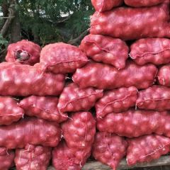 安丘市，大红，二红洋葱。