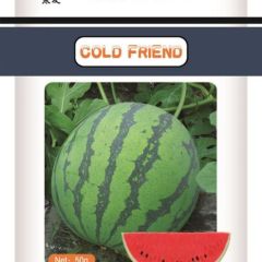 寒友8424 冰爽麒麟西瓜 早熟 口感好
