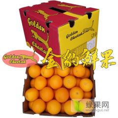 南非进口水果批发 夏橙酸橙 饮品榨汁店货源供应