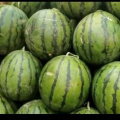 代购，代销，全国代发