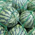 大量供应正宗8424 精品美都