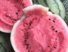 8424 美都，大量供应