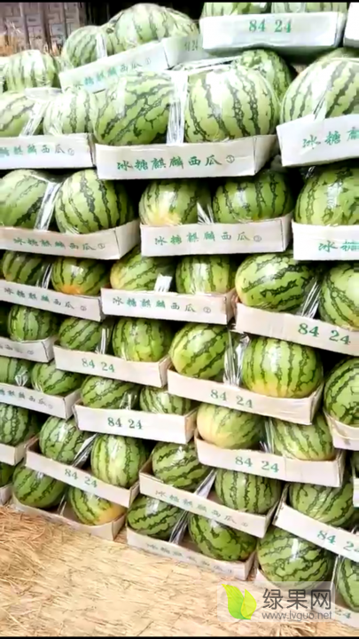 8424西瓜价格
