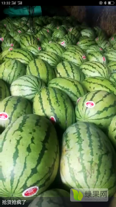 硒砂瓜价格