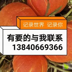 欢迎你来凌海采购我给你最低的价格