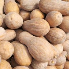 早熟，小果，王中王