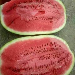 金花一号 金城大量上市13519010718