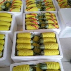 各种甜瓜，小小番茄，圣女果