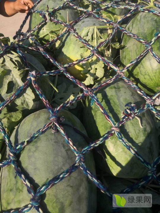 2019年河南通许龙卷风价格