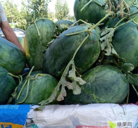 龙卷风价格