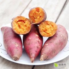 八月份供应各个品种红薯，大量有货