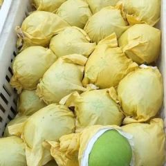 翠玉梨，皇冠梨，砀山梨