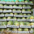 8424 花长瓜 美都西瓜大量供应