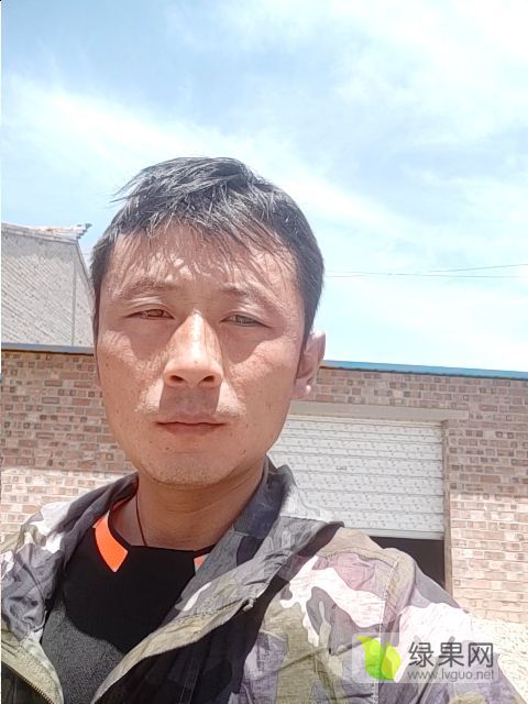 金城价格