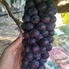 诚信第一，客户至上