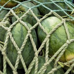 河南省开封市尉氏县永兴镇西瓜市场