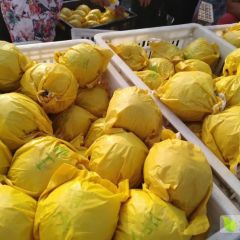 2019年安徽砀山翠冠梨大量上市