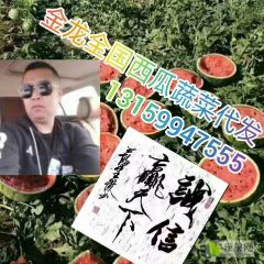 黑龙江大庆地雷西瓜大量上市