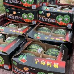 陕西渭南 全美4k 无籽西瓜火热上市