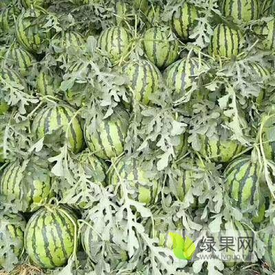 2019年河南通许龙卷风价格