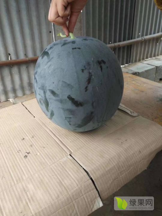 黑皮无籽价格