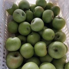 大量澳洲青苹二级果，价格美丽