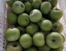 大量澳洲青苹二级果，价格美丽
