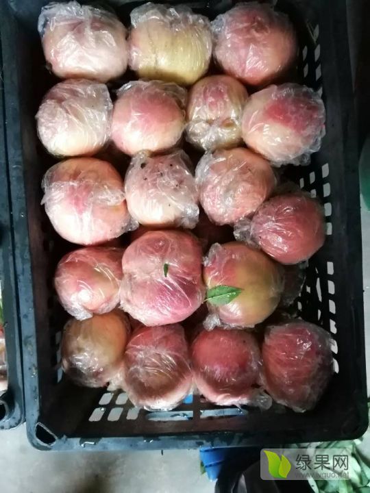 2019年陕西大荔阿布白桃价格