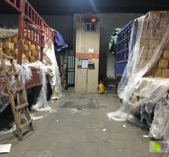 2019年广东东莞荷兰七号价格