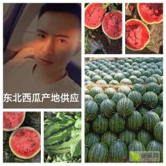 黑龙江产区大量供应