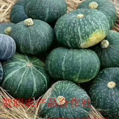 水果南瓜上市了