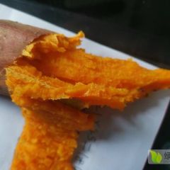 河南万亩沙地西瓜红