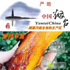 烟薯25蜜薯 红蜜薯 糖心蜜薯 烤地瓜蜜薯