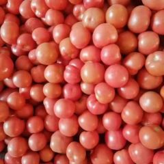 招供货商，长期合作伙伴！