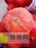 山西神池新明诚信合作社金红冠南瓜