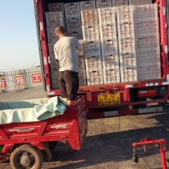 秦王超越，北京3号。