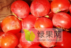 优质、一级商品柿子（硬柿子），价格便宜了