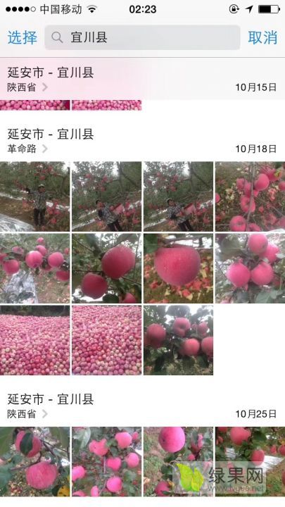 2019年陕西宜川红富士价格