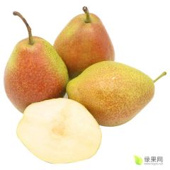红香酥梨60起步