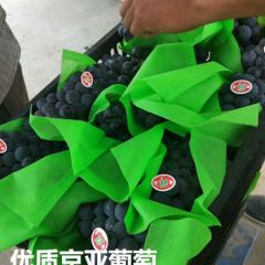 优质京亚葡萄首选晋州佳力果业