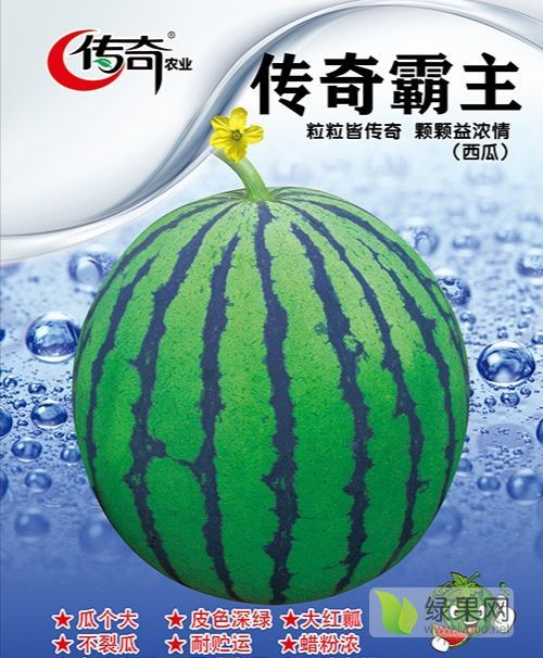 传奇霸主价格