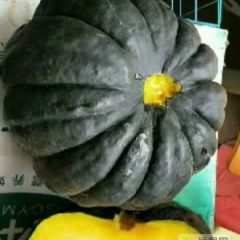 红黑南瓜上市了