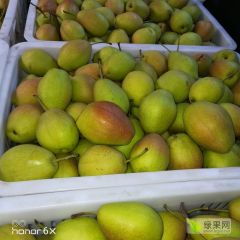 河南伏牛山东红香酥