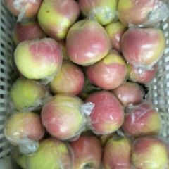 红将军苹果超脆超甜