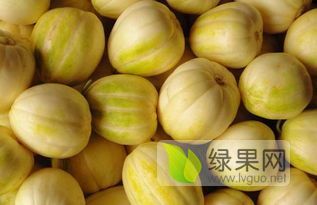 凌海高糖京蜜香瓜批发。15642896023。