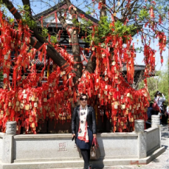 精品黄，白，红，厂，紫洋葱，供应商，