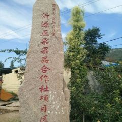 山东最大最好吃的苹果基地