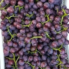 精美的万亩巨峰葡萄！